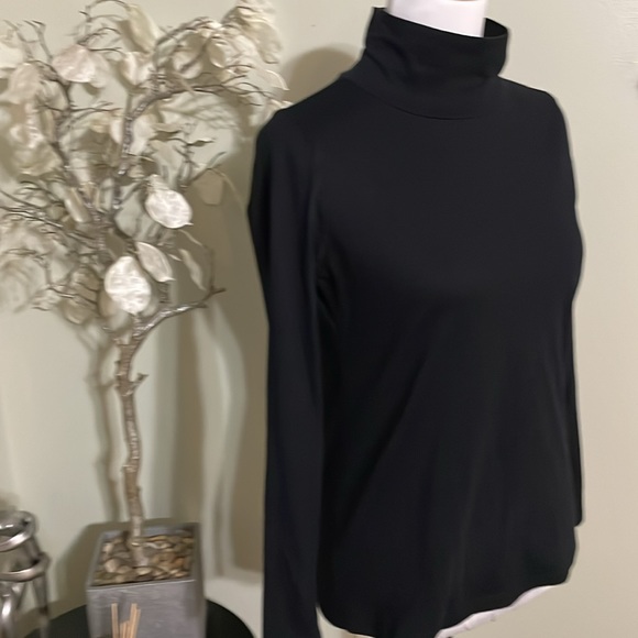 ANN TAYLOR TURTLENECK TOP - Picture 3 of 5